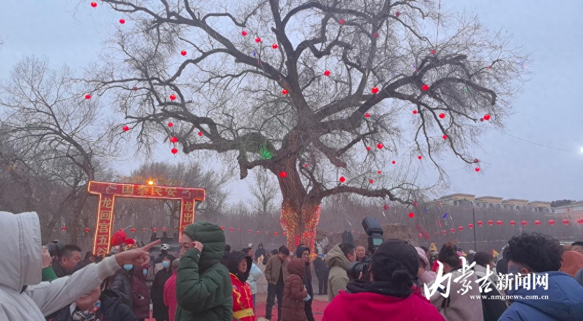 300年传承的龙灯节，你见过吗？250年古树下的烟花盛宴，震撼人心  第1张