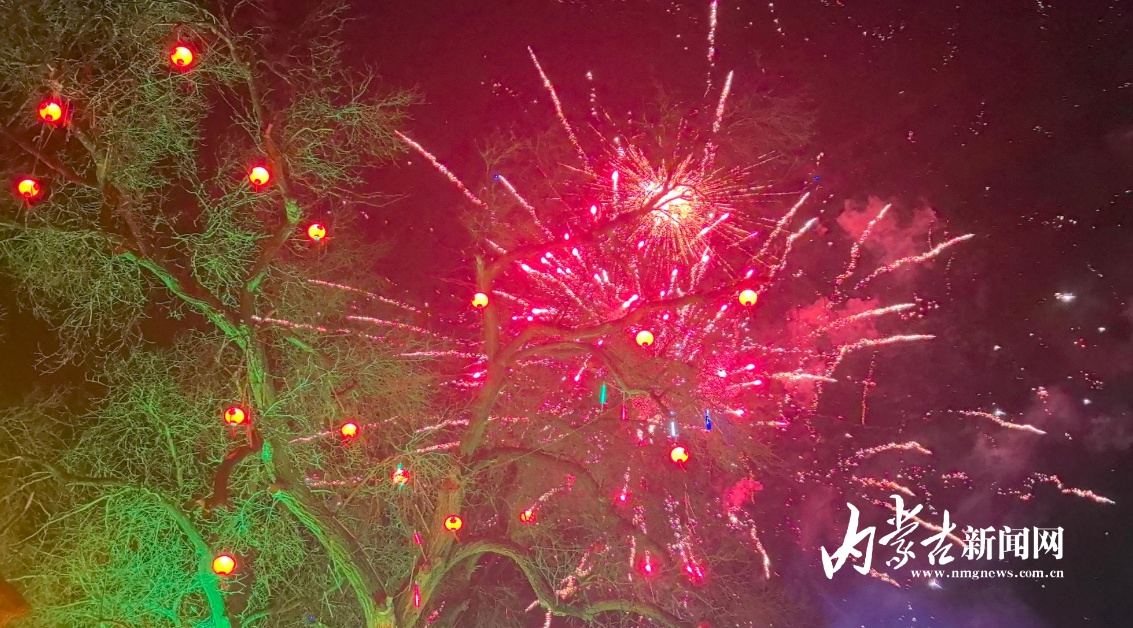 300年传承的龙灯节，你见过吗？250年古树下的烟花盛宴，震撼人心  第3张