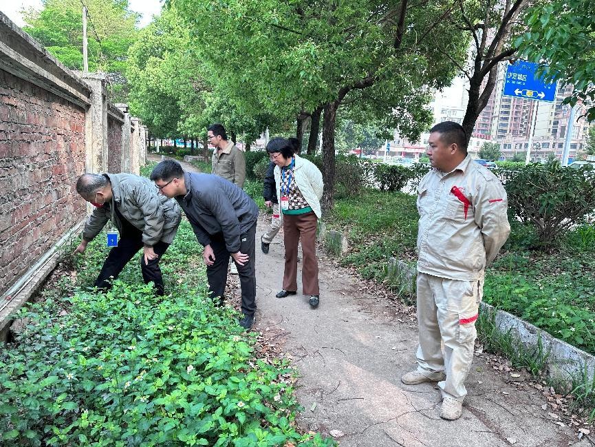 创卫考评进行中! 公共外环境病媒防制工作做得咋样?  第2张