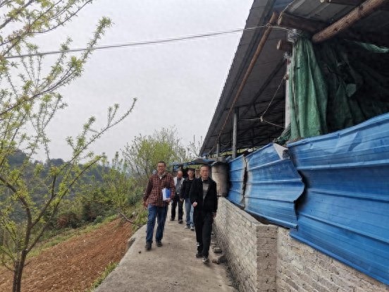 黄平县自然资源局2025年汛前地质灾害排查:如何全方位保障群众安全?