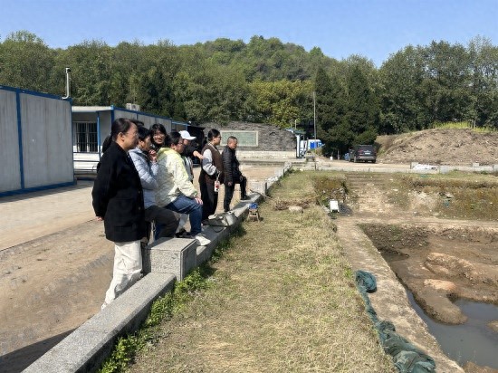 南宋太庙遗址考古现场首次开放！居民们为何惊叹不已？