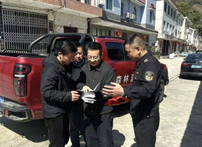 保护野生动物，临安各部门如何联合行动？