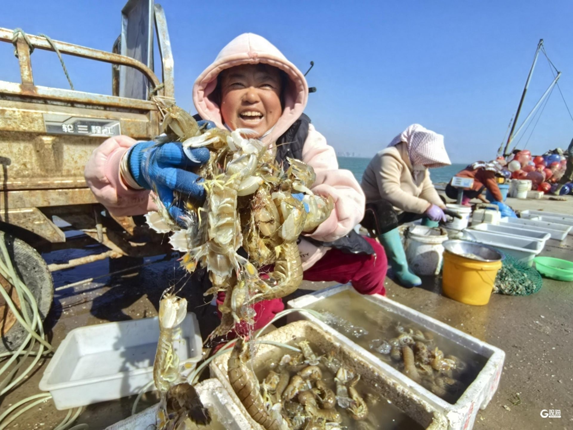 春鲜上岸！虾虎、八带、黄鱼、螃蟹...清明假期你准备好尝鲜了吗？