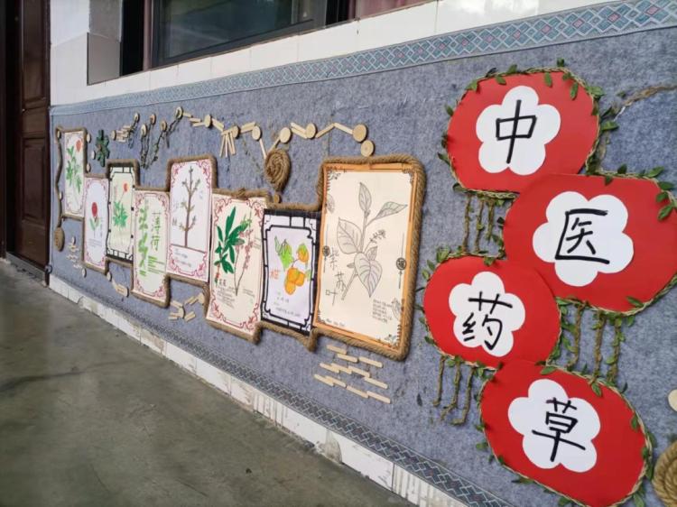 郴州市41完小中医文化进校园！孩子们寒假都做了啥？  第2张