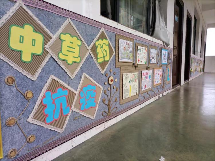 郴州市41完小中医文化进校园！孩子们寒假都做了啥？  第3张