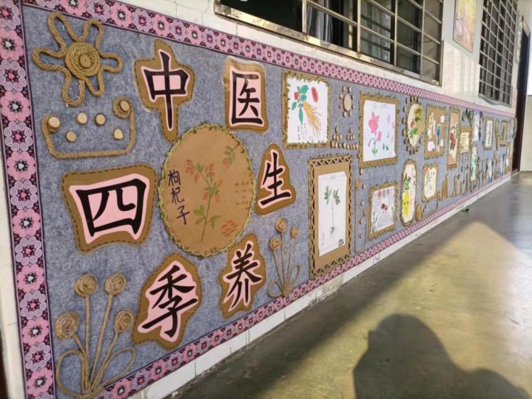 郴州市41完小中医文化进校园！孩子们寒假都做了啥？  第4张