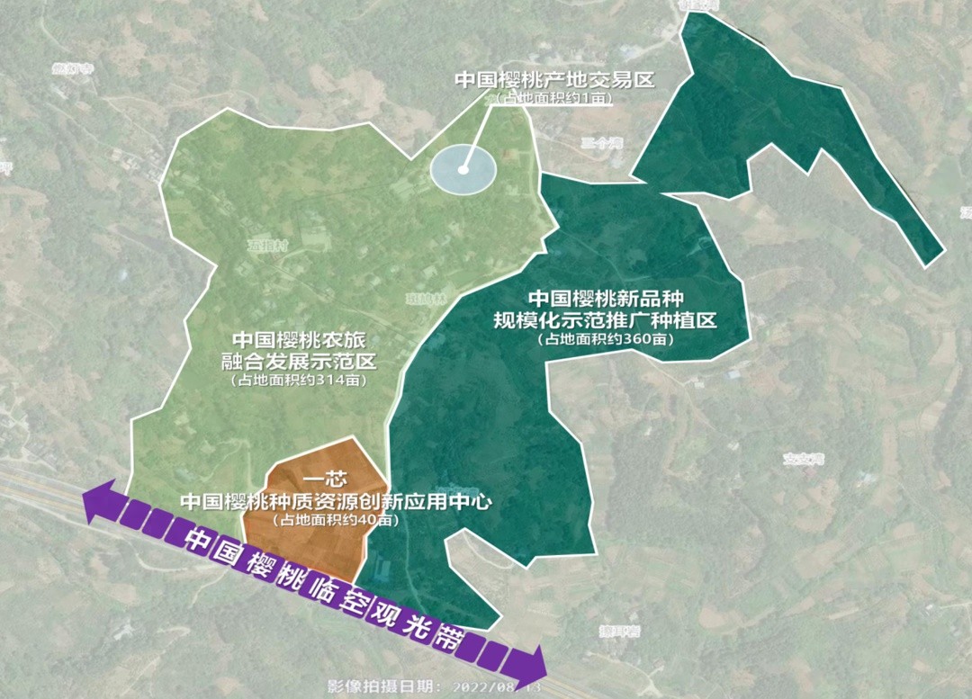 传统樱桃产业面临挑战，新品种如何助力农户亩产增收超万元？