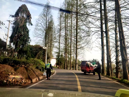 草坝镇全民动员！清明节前这场大扫除，你家门口变样了吗？  第2张