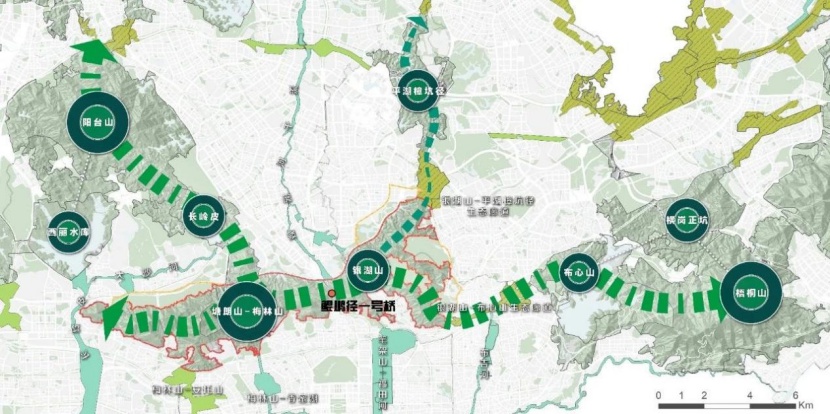 惊爆！2025年深圳福田：湿地与山林现珍稀鸟类？  第3张