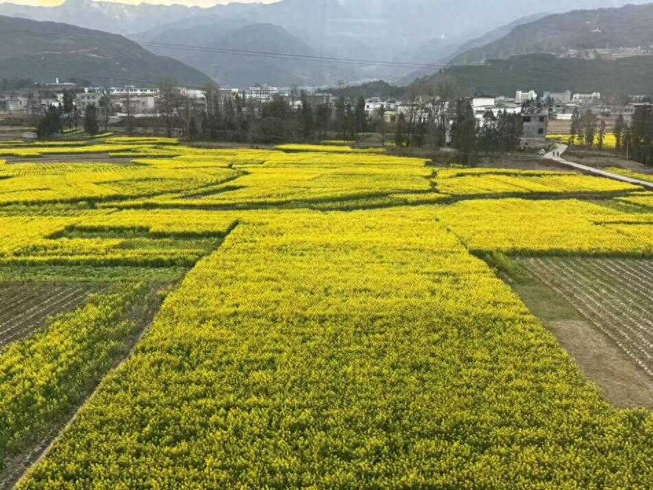 越西县财政局如何用1亿资金守护粮食安全？看他们如何端稳中国碗