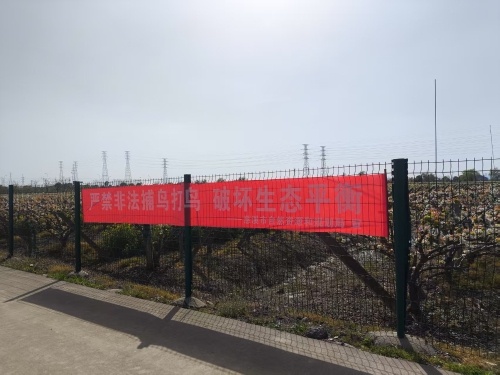 慈溪局重拳出击！每周巡查2次，300辆执法车出动，他们究竟在抓什么？  第2张
