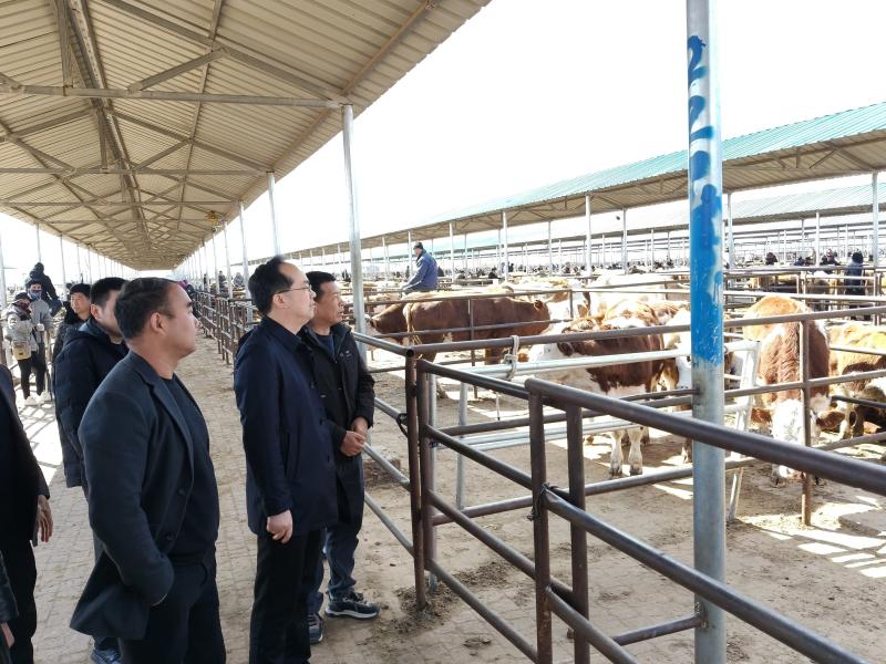 副县长带队千里取经！黄平肉牛产业如何实现质的飞跃？