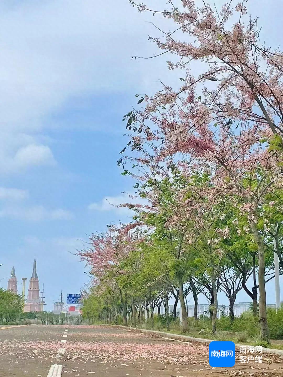 文化和旅游部推32条线路，海南线路有何亮点?