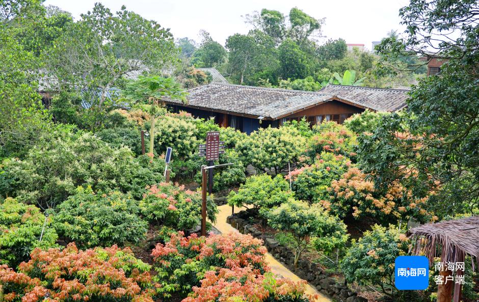 文化和旅游部推32条线路，海南线路有何亮点?  第2张