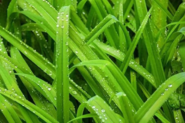 今晚到明天全省天气大揭秘！沈阳等地有雨，出游该咋准备？