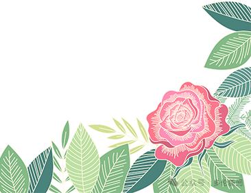 三四月份花苗正当时！多伦县城管局园林队如何抢抓时机？  第2张