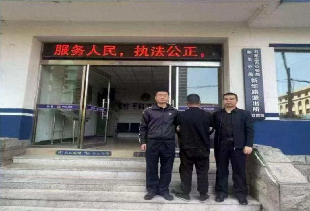 天马利剑2025专项行动破合同诈骗案！15万活羊定金咋追回的？