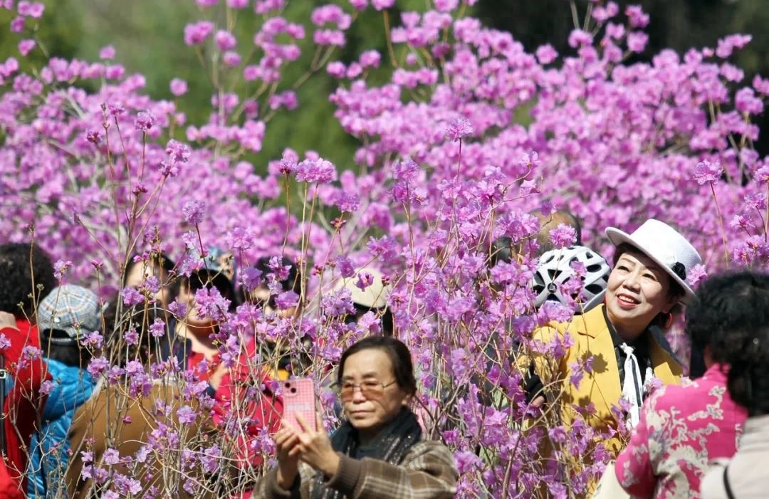 五一假期第三天全省降水今晚结束，明天天气咋样？气温风力看这里