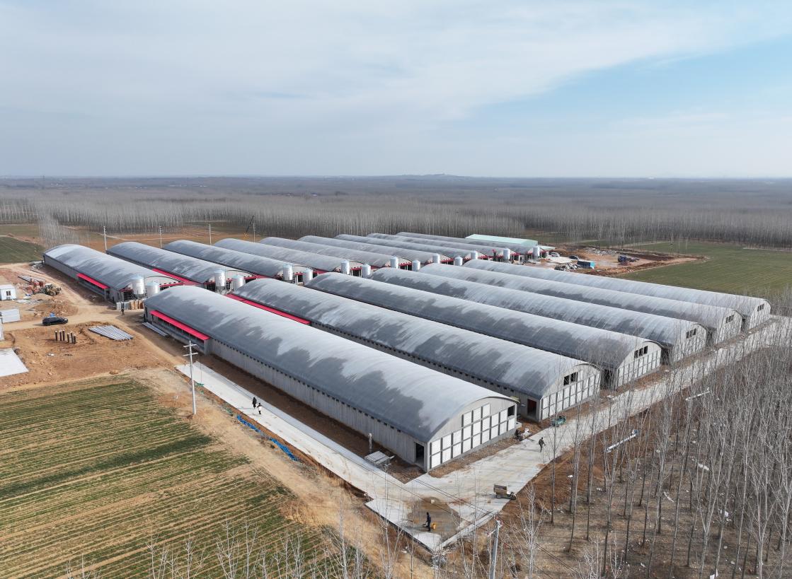 天气转暖项目施工迎黄金期？中德国际宠物经济工业园亮点多  第2张