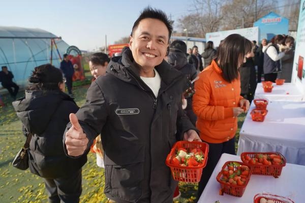 冬日寒风凛冽，草莓大棚内却温暖如春！2024年周陵草莓采摘节，你准备好了吗？  第3张
