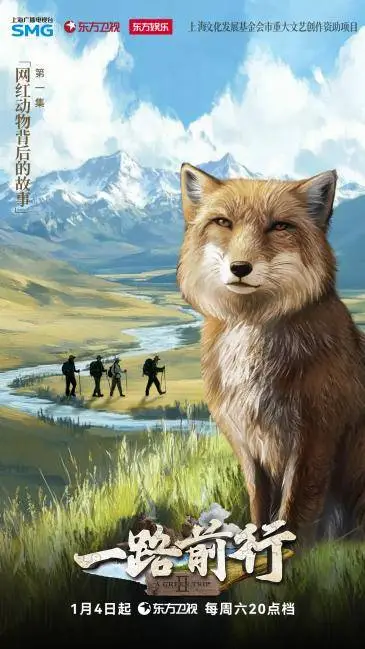 胡歌、刘涛青海寻踪藏狐！网红动物背后的生态危机，你了解多少？  第1张