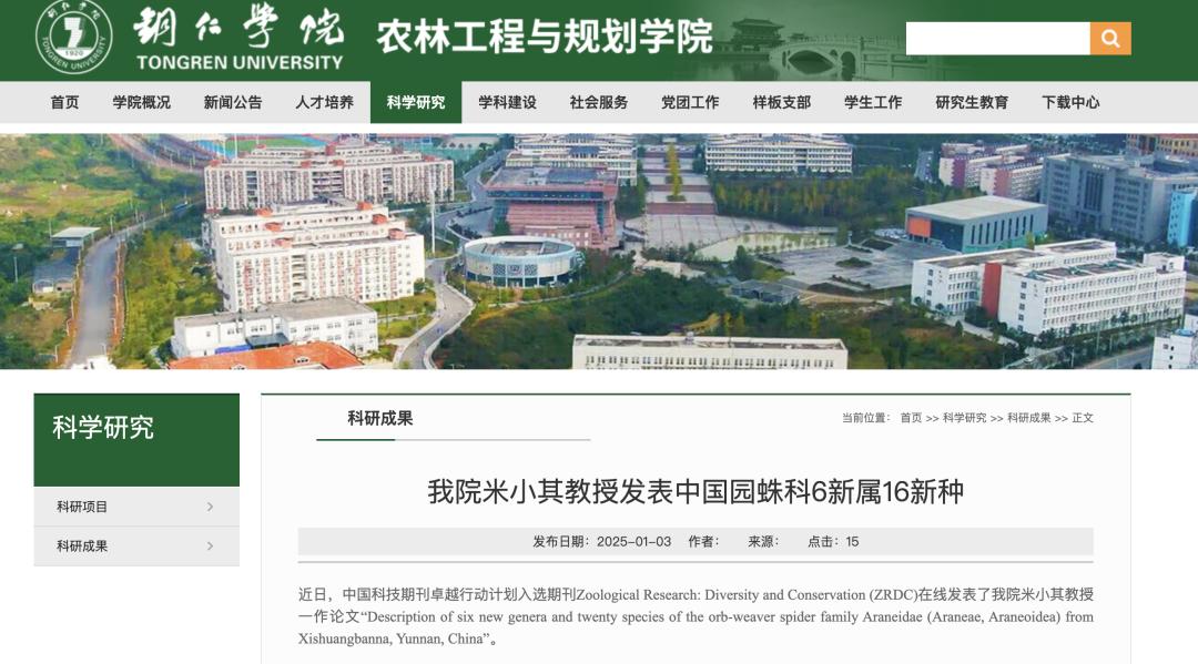 周杰伦的歌曲竟然成了蜘蛛的名字？16个新种蜘蛛命名背后的故事  第3张