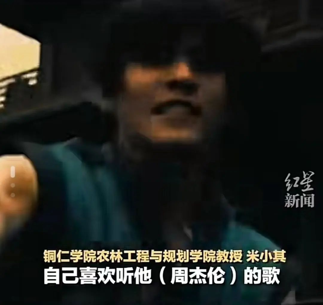 周杰伦的歌曲竟然成了蜘蛛的名字？16个新种蜘蛛命名背后的故事  第5张