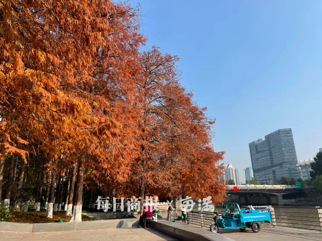 阳光打卡上线，晴暖天气还能持续多久？新冷空气即将来袭  第3张