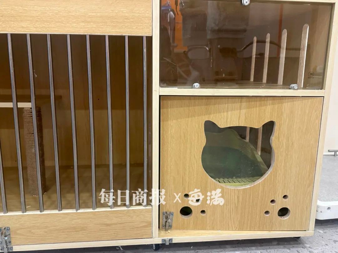 春节将至，你的宠物怎么办？杭州宠物寄养市场火爆，90后、00后如何选择？  第5张