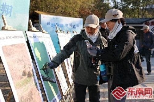 武夷山观鸟天堂！100余名爱好者齐聚，30种鸟类等你来发现
