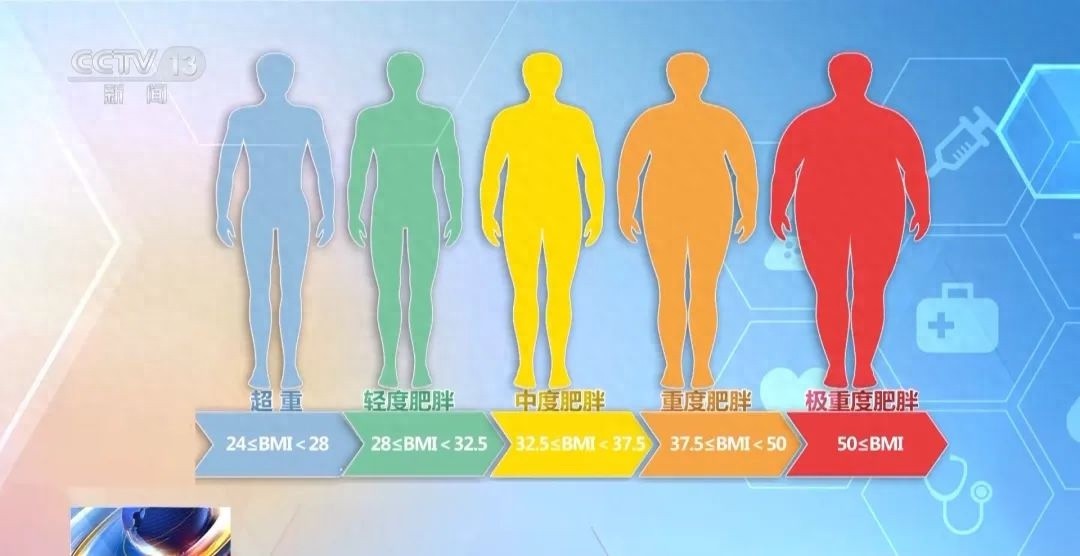 2030年超重肥胖率将达70.5%！你的BMI达标了吗？