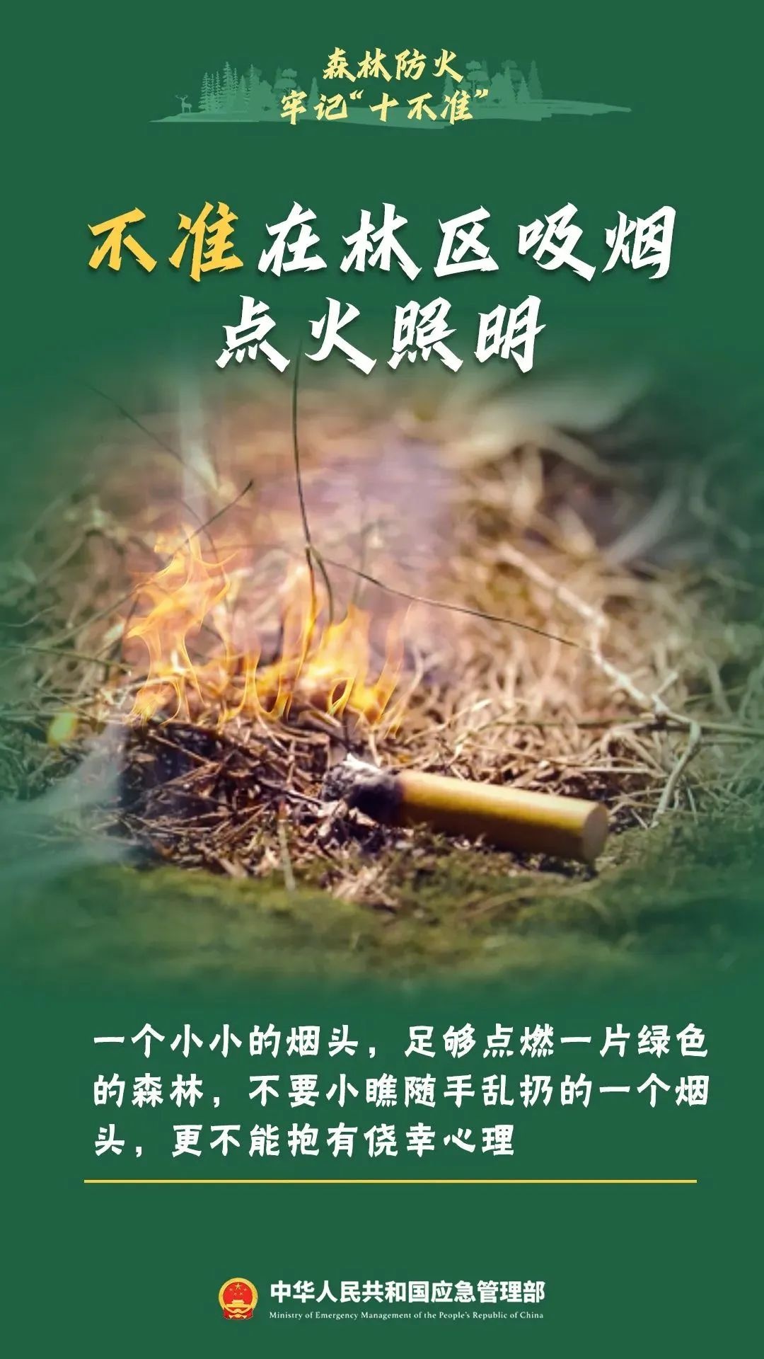 湖南小寒节气会下雪吗？最新天气预报揭秘，湘西北高海拔地区或将迎来雨夹雪  第10张
