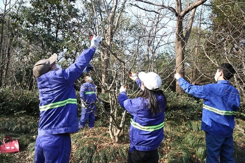 上海连续23天无雨，今晚小雨将至！冷空气即将来袭，气温骤降8℃以上  第7张