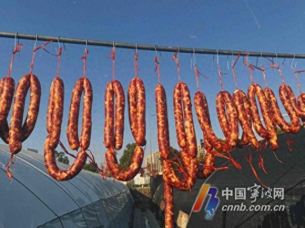 宁波冬日暖阳仅剩一天！后天冷空气来袭，你准备好迎接寒冷了吗？