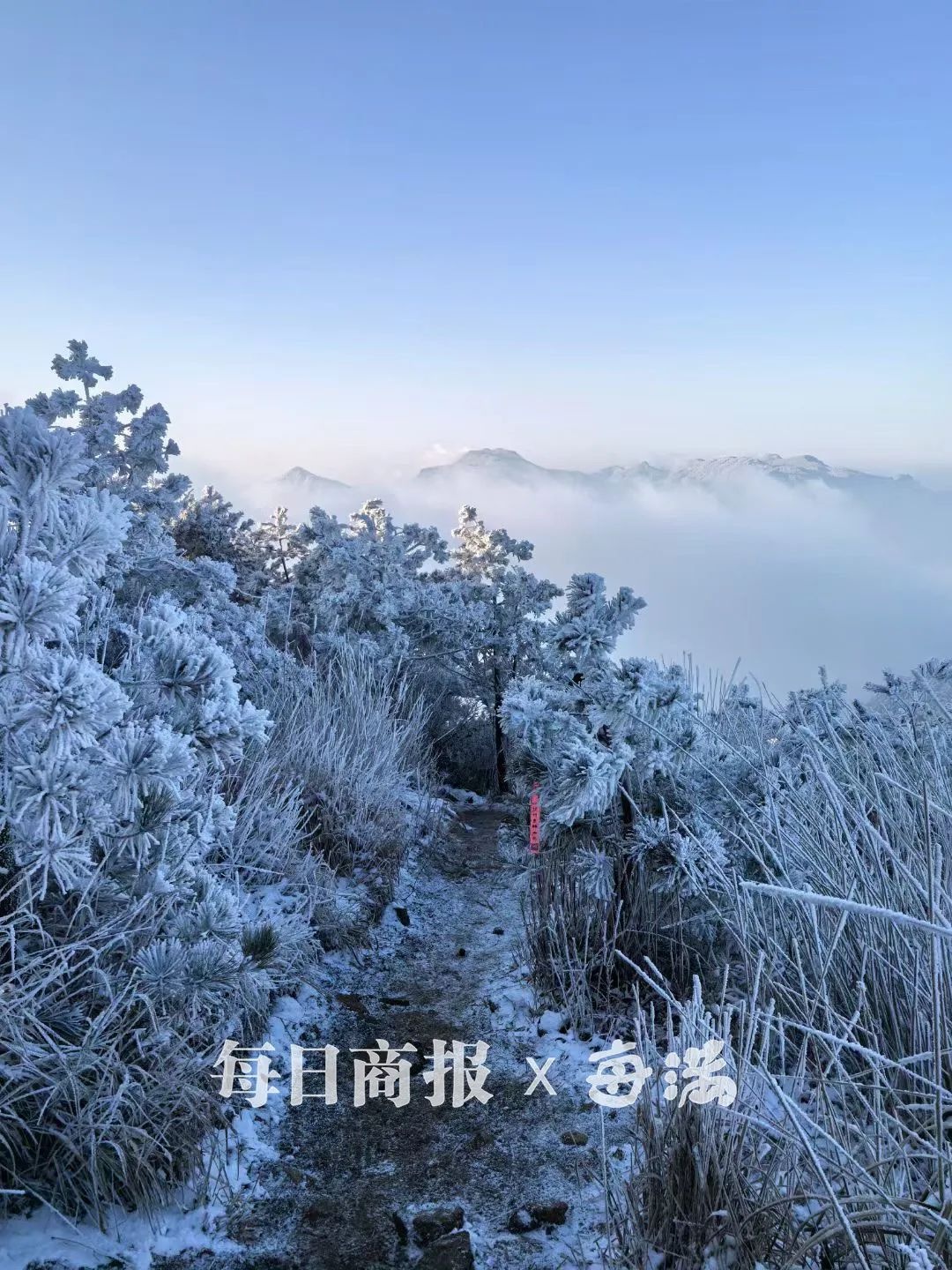 乙巳蛇年开工首日天气咋样？早晚冷中午暖  第4张