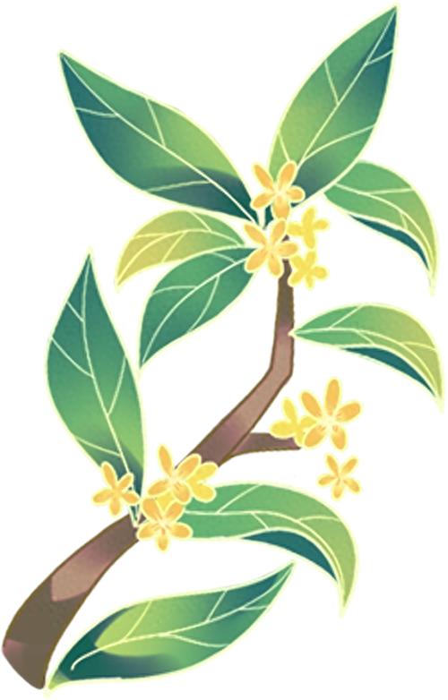 普陀区昔步统益里获大奖！你知道它的独特之处吗?