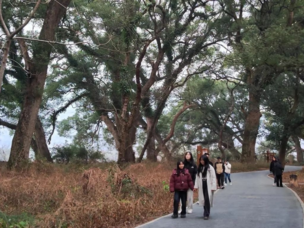 年近70老人见证! 林子有身份证? 还带来红火?!