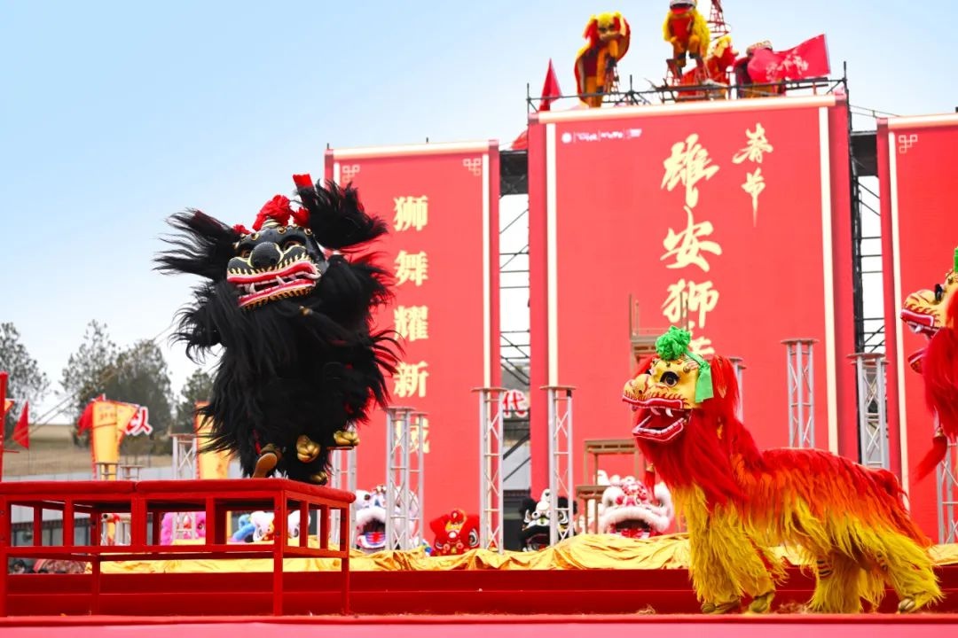 春节·雄安狮舞大会成功举办！12支队伍如何带来震撼视觉盛宴？  第2张