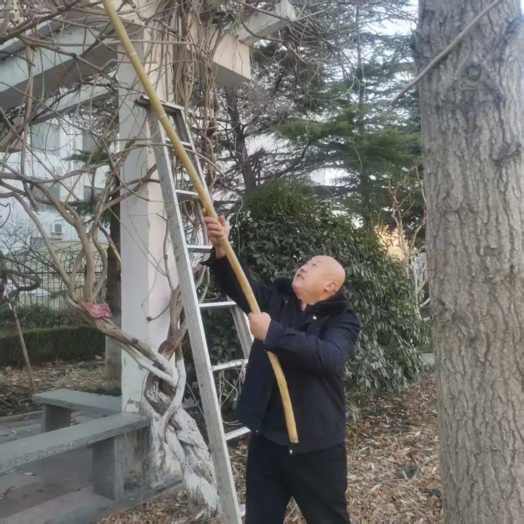 新春佳节服务不停！岱岳区检察院后勤有多拼？  第7张