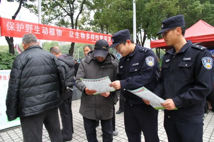 你还在无视野生动物保护法吗？看看这些惊人的案例  第3张