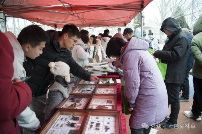 你知道今年世界野生动植物日，包头市做了什么大事吗？  第4张