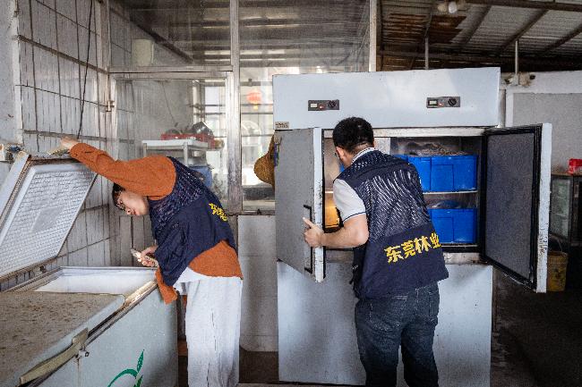 市林业局行动了！非法捕猎、贩卖野生动植物还能继续逍遥法外吗？  第3张