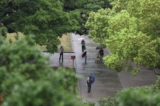 广州遭遇罕见极端天气！冰雹预警提前四周，未来几天寒冷持续，你准备好了吗？
