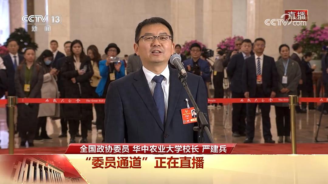 李文强：南繁基地的玉米守护者，他的坚持能否破解高产高蛋白之谜？