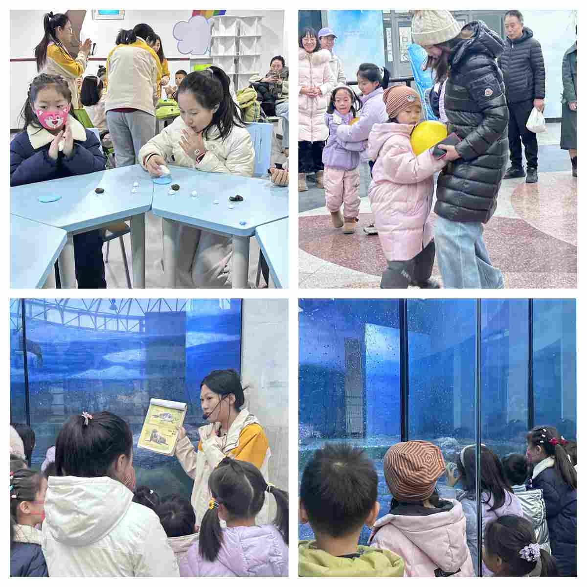 你知道吗？2025年国际海豹日亲子活动竟让孩子们成为了小小保育员  第3张