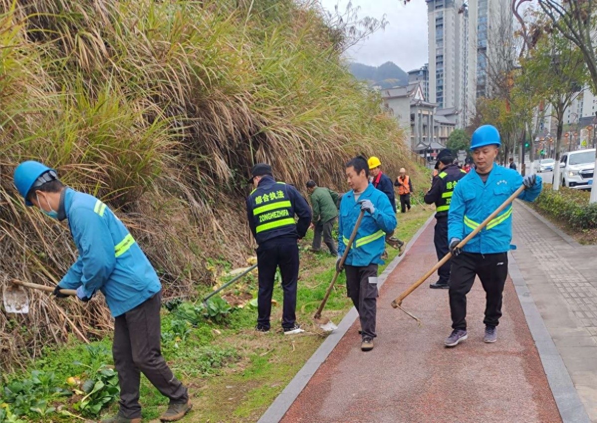 城市绿地被私自占用种菜，景宁如何守护我们的绿色家园？