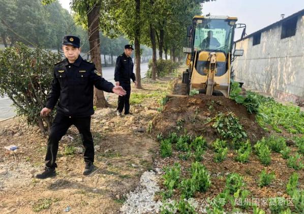 违规占用公共绿地，你还在等什么？快来看看如何整治  第4张