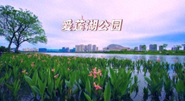贺州公园+模式惊艳亮相！城市绿肺如何变身多功能公共空间？