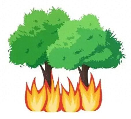 春季是火灾高发期！森林火灾为何多在春季？遇火灾如何避险?