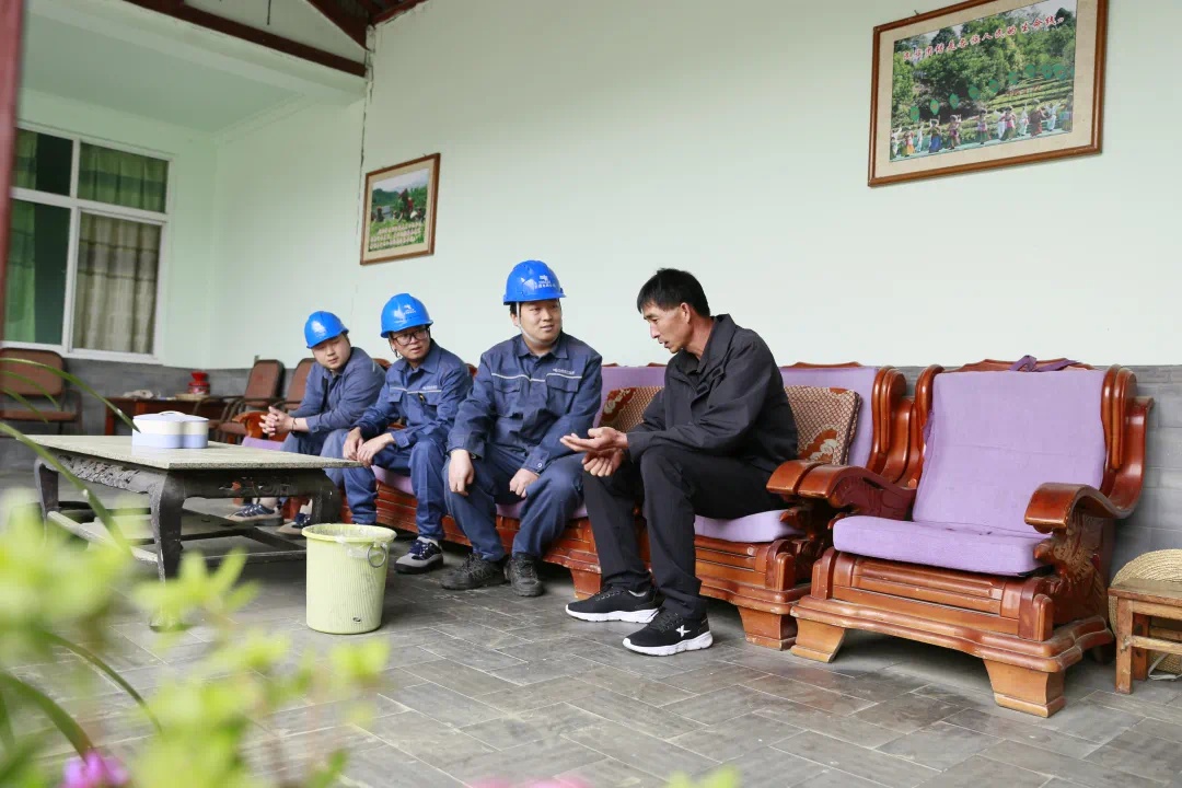电力满格助力春茶飘香，绿叶如何蜕变成金叶？  第2张